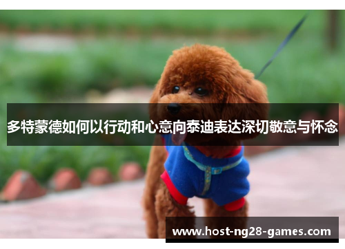 多特蒙德如何以行动和心意向泰迪表达深切敬意与怀念