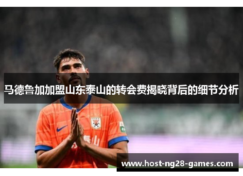 马德鲁加加盟山东泰山的转会费揭晓背后的细节分析